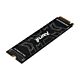 Kingston Technology 1000G FURY RENEGADE M.2 2280 NVMe SSD