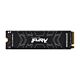 Kingston Technology 1000G FURY RENEGADE M.2 2280 NVMe SSD