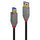 Lindy 0.5m USB 3.2 Type A to B Cable, 5Gbps, Anthra Line