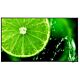 NEC MultiSync E498 124.5 cm (49") IPS 350 cd/m² 4K Ultra HD Black 16/7