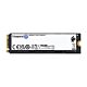 Kingston Technology 2000G FURY RENEGADE M.2 2280 NVMe SSD