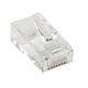 StarTech.com Cat5e RJ45 Stranded ular Plug Connector - 50 Pkg