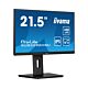 iiyama ProLite 21.5” IPS technology panel with height adjustable stand and 100Hz refresh rate