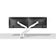 Neomounts DS70-250WH2 Monitor arm 17-32" - gas spring - Topfix - 180°-stop