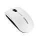 CHERRY MC 2000 Corded Mouse with Tilt Wheel, Pale Grey, USB