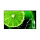 NEC MultiSync E868 Digital signage flat panel 2.17 m (85.6") LED 350 cd/m² 4K Ultra HD Black 18/7