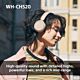 Sony WHCH520Y.CE7