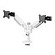 Neomounts DS65S-950WH2 Monitor arm 24-34" - gas spring - Topfix - multi-adjustable - 180°-stop