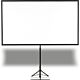Epson Screen (80" Mobile X type16:9) - ELPSC21