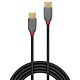 Lindy 3m USB 2.0 Type C to C Cable, Anthra Line