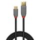 Lindy 1m USB 3.2 Type A to C Cable, 10Gbps, 5A, PD, Anthra Line