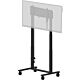 iiyama Double column electric floor lift on wheels for monitors up to 98" (up to 105" with a mounting kit)