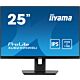 iiyama ProLite 25” 1920 x 1200 monitor featuring IPS panel and a height adjustable stand