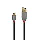 Lindy 2m USB 2.0 Type A to C Cable, Anthra Line