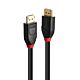 Lindy 10m Active DisplayPort 1.4 Cable