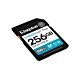 Kingston Technology Canvas Go! Plus 256GB SDXC Canvas Go Plus Gen4 200MB/s C10 UHS-I U3 V30