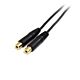 StarTech.com 6in Stereo Splitter Cable - 3.5mm Male to 2x 3.5mm Female