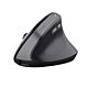 Trust TM-270 mouse Office Right-hand RF Wireless Optical 2400 DPI