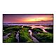 Samsung QB75B Digital signage flat panel 190.5 cm (75") Wi-Fi 350 cd/m² 4K Ultra HD Black Built-in processor Tizen 6.5 16/7