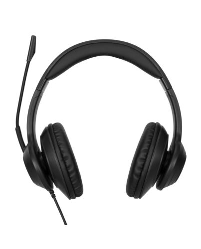 Targus AEH102GL headphones/headset Wired Head-band Calls/Music USB Type-A Black AEH102GL
