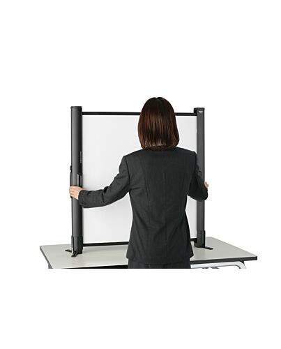 Epson Screen (50