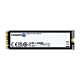Kingston Technology 2T FURY RENEGADE G5 M.2 2280 NVMe SSD