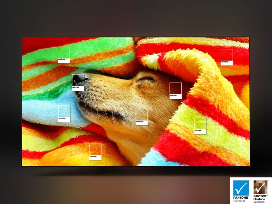 IMAGE-NOT-AVAILABLE