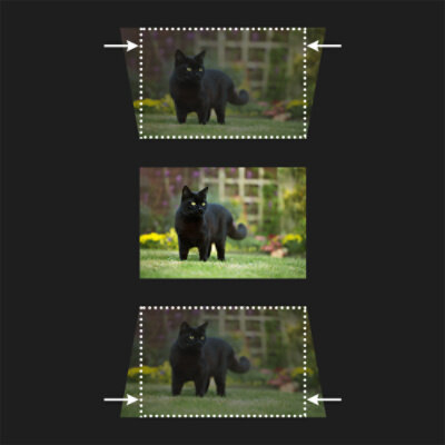 IMAGE-NOT-AVAILABLE
