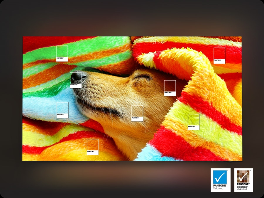 IMAGE-NOT-AVAILABLE