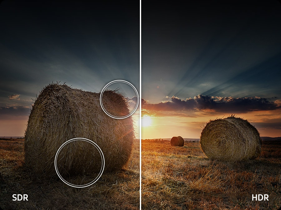 IMAGE-NOT-AVAILABLE