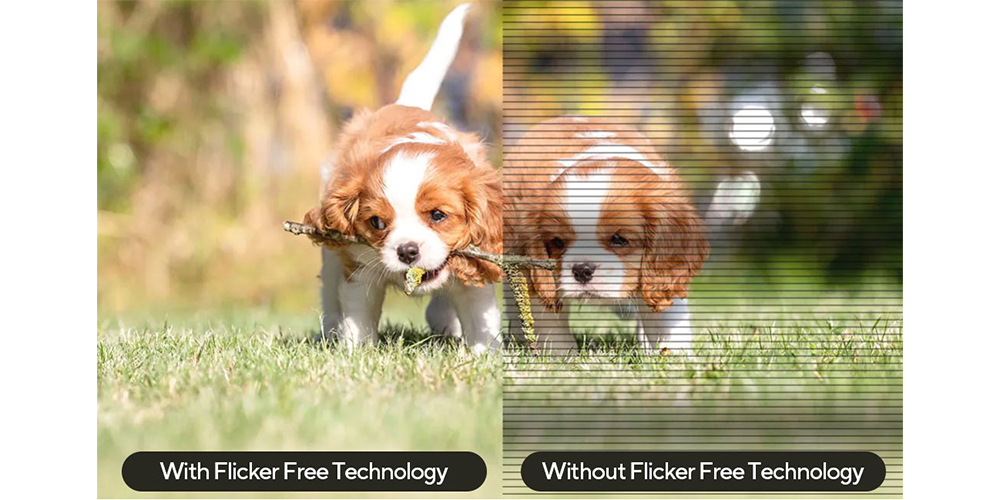 IMAGE-NOT-AVAILABLE