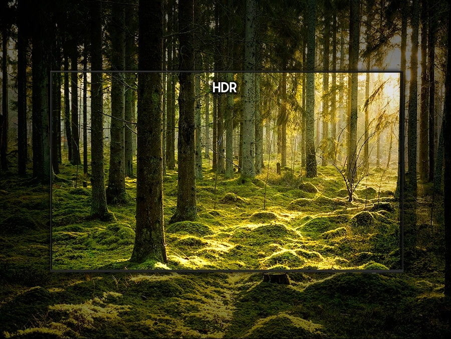 IMAGE-NOT-AVAILABLE